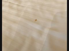 -南京钟山宾馆(江苏省会议中心)