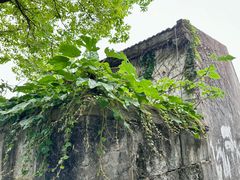 -金泽古镇