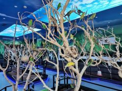 -未来动物城动物主题公园(大悦城店)