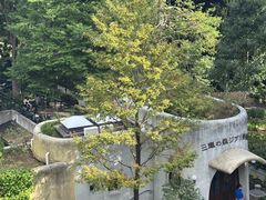 -三鹰之森吉卜力美术馆