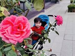 -雅达·阳羡溪山小镇中心