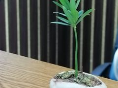 -学习谷日语培训日本留学·多语种外语教学(海淀人大分部)