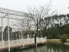 -迪茵湖田家舍生态农场