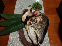 烤三文鱼头（盐烤、香辣）-三月居酒屋(青年大街店)