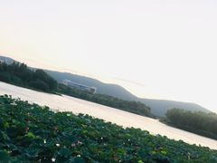 -江南大学(蠡湖校区)