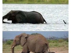 -好利来(兴华街店)