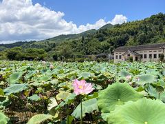 -云水谣景区