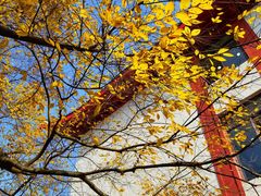 -四川大学(望江校区)