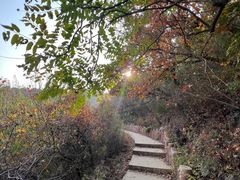 -北京西山国家森林公园