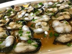 -呼吸森林·生态农庄农家乐私房菜