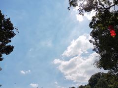 -阳台山森林公园