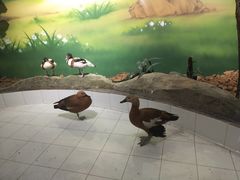 -苏州海洋馆