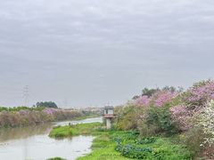 -广东花都湖国家湿地公园