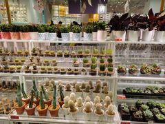 -KKV(深圳宏发大仟里店)