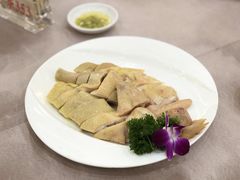 白切鸡-东江渔村(皇悦店)