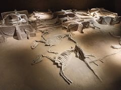 -洛阳周王城天子驾六博物馆