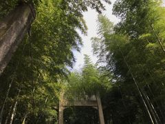 -紫金山索道-售票处