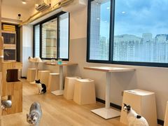 -有喵·猫咖·狗咖·40+猫狗有小奶狗(岗厦店)