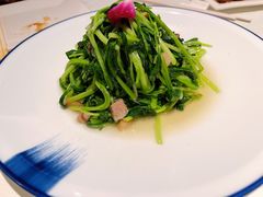 碎油渣炒鸡毛菜-北平楼·烤鸭·北京菜(牡丹园店)