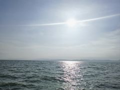 -捞渔河湿地公园