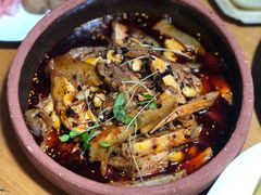 凉拌鸡-青城甲(青城山店)