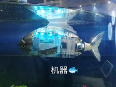 -浙江省科技馆