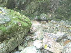 -牛背梁国家森林公园