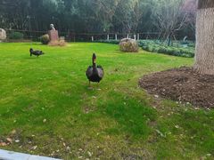 -华东师范大学第二附属中学(张江校区)