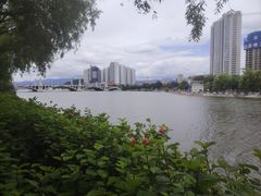 -洱海月湿地公园