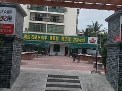 -墨脱石锅椰子鸡•香草鸭•东山羊(大东海店)