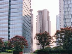 -花园5號餐厅