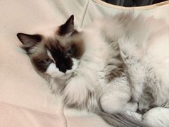 -seeu coffee(江滩店)