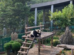 -大连森林动物园