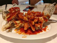 -洋洋中餐馆·SINCE 1997(龙湖星湖天街店)