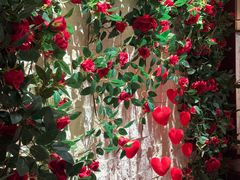 -Mammamia意大利餐厅(阳春巷店)