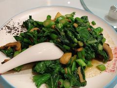 口蘑菜心-解家河南菜(商鼎路店)