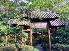 -金孔雀温泉旅游度假村