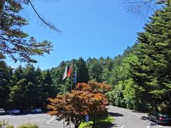-四明山国家森林公园