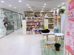 -当汪遇见喵宠物店