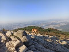 -梧桐山风景名胜区
