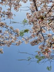 -玄武湖景区-情侣园游乐场