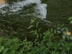 -黄公望隐居地