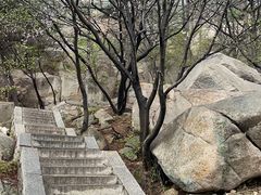 -崂山巨峰游览区