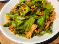 青辣椒炒肉-壹盏灯(惠农店)
