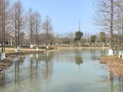 -九科绿洲