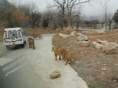 -西安秦岭野生动物园