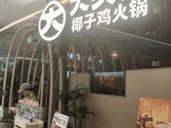 -大头椰·椰子鸡火锅(新梦店)