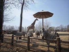 -大连森林动物园