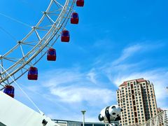 -天津之眼摩天轮