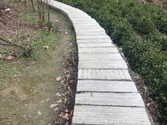 -塔川景区
